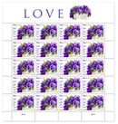 Love: Pansies in a Basket