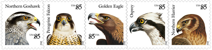 Birds of Prey