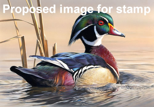 Scenic American Landscapes