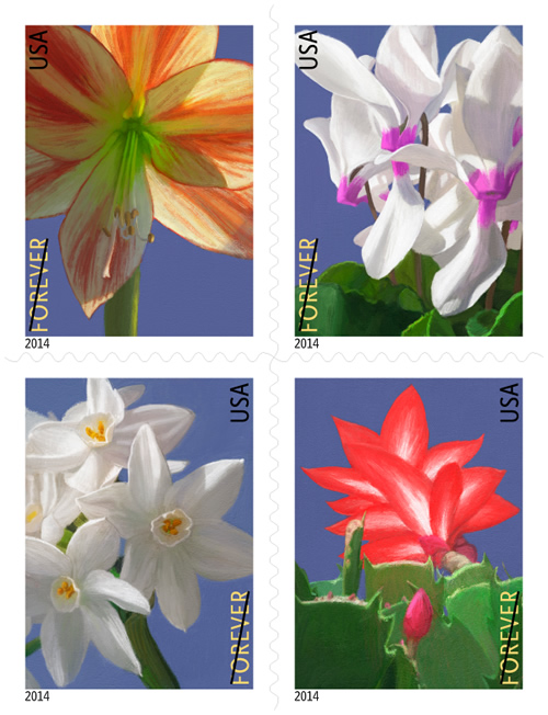 Winter Flowers