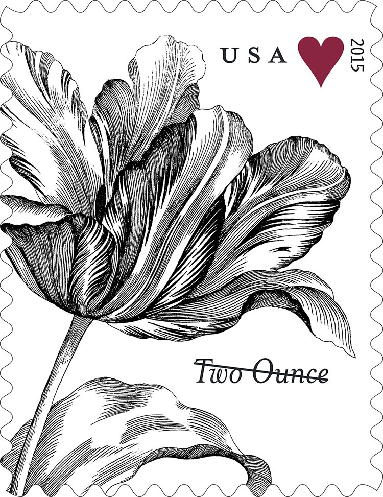 Vintage Tulip