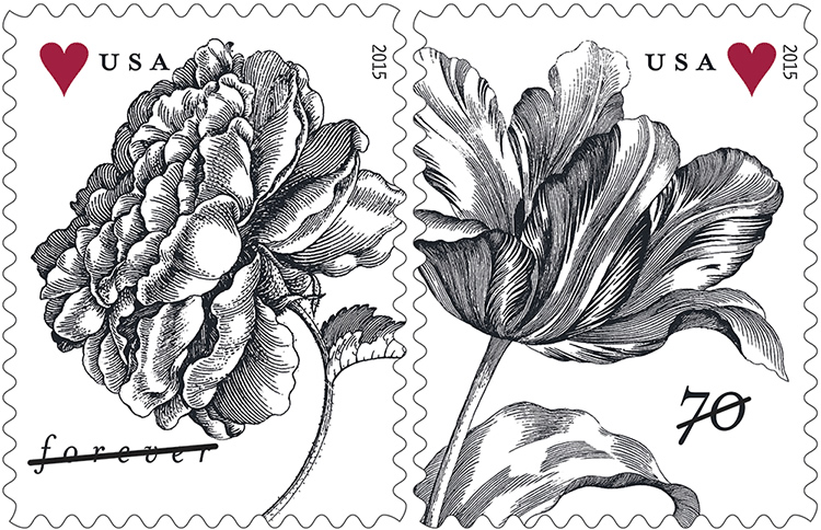 Vintage Rose & Tulip