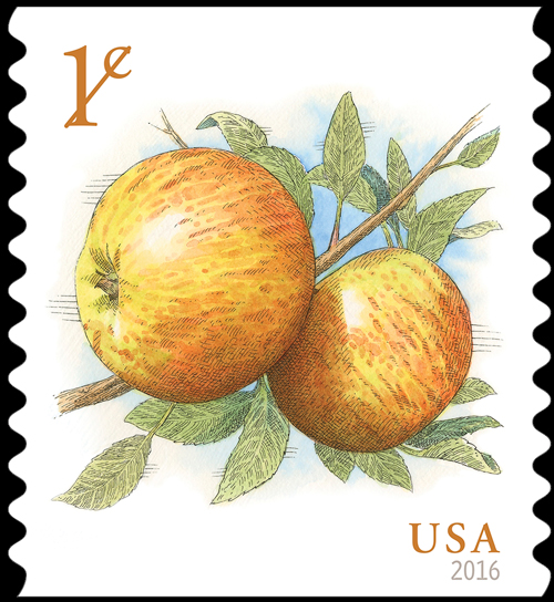 Apples