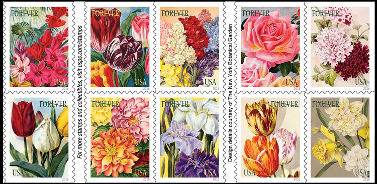 Botanical Art