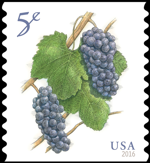Grapes