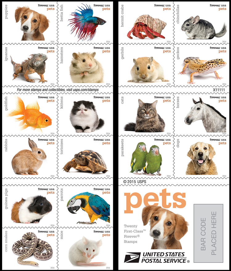 Pets