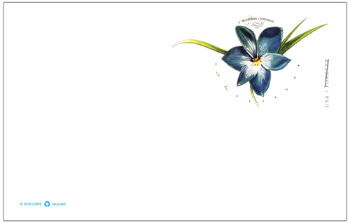 Protect Pollinators