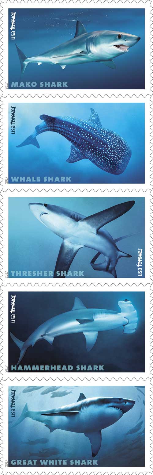 Sharks USPS stamp