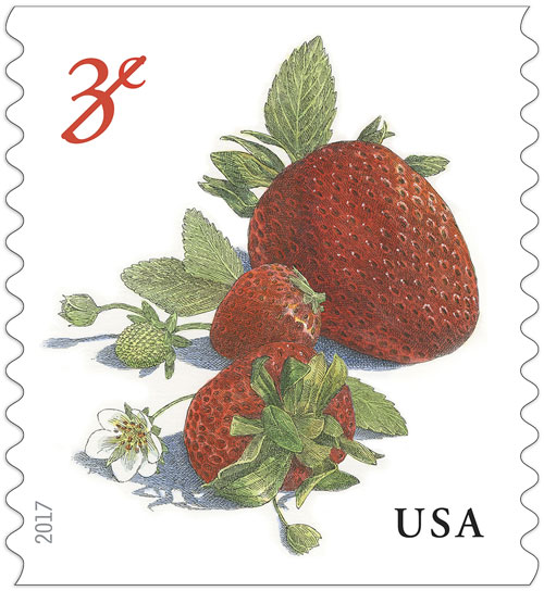 Strawberries