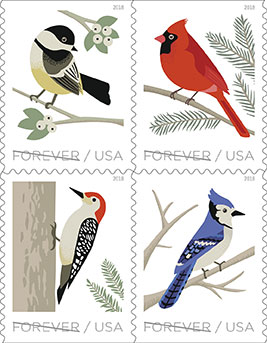 Birds in Winter