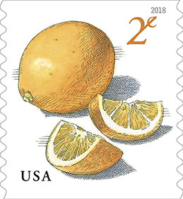 Meyer Lemons