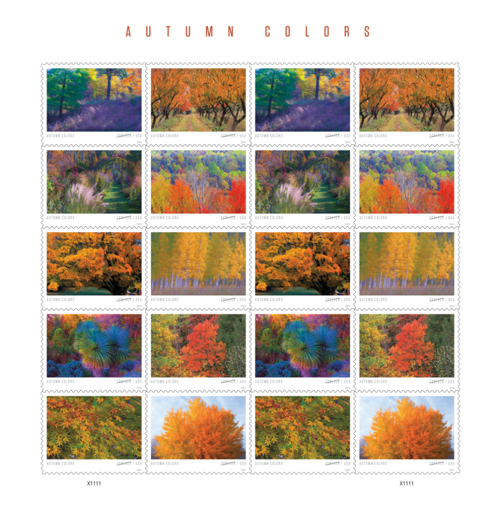 Autumn Colors