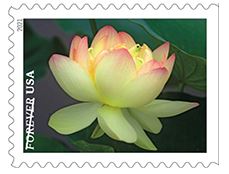 Garden Beauty Forever Stamps