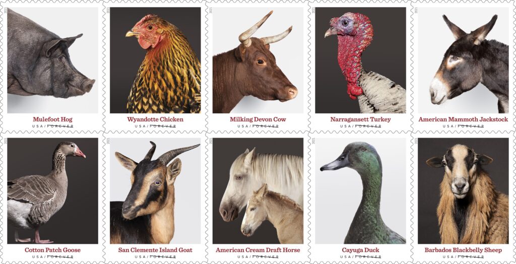 Heritage Breeds