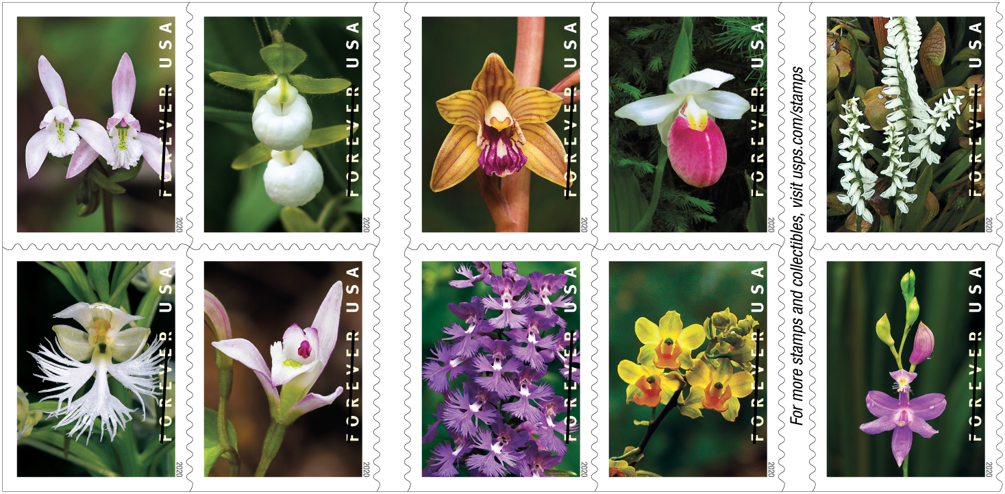 Wild Orchids USPS stamp