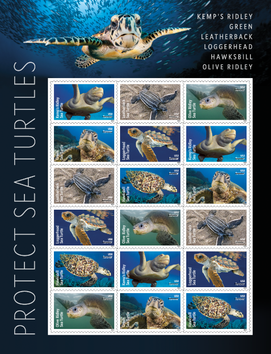 Protect Sea Turtles USPS stamp