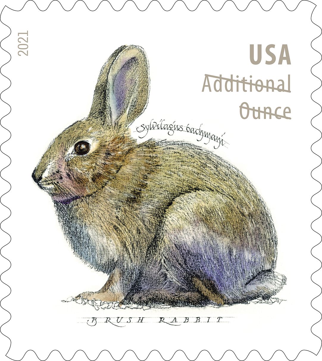 Brush Rabbit USPS stamp