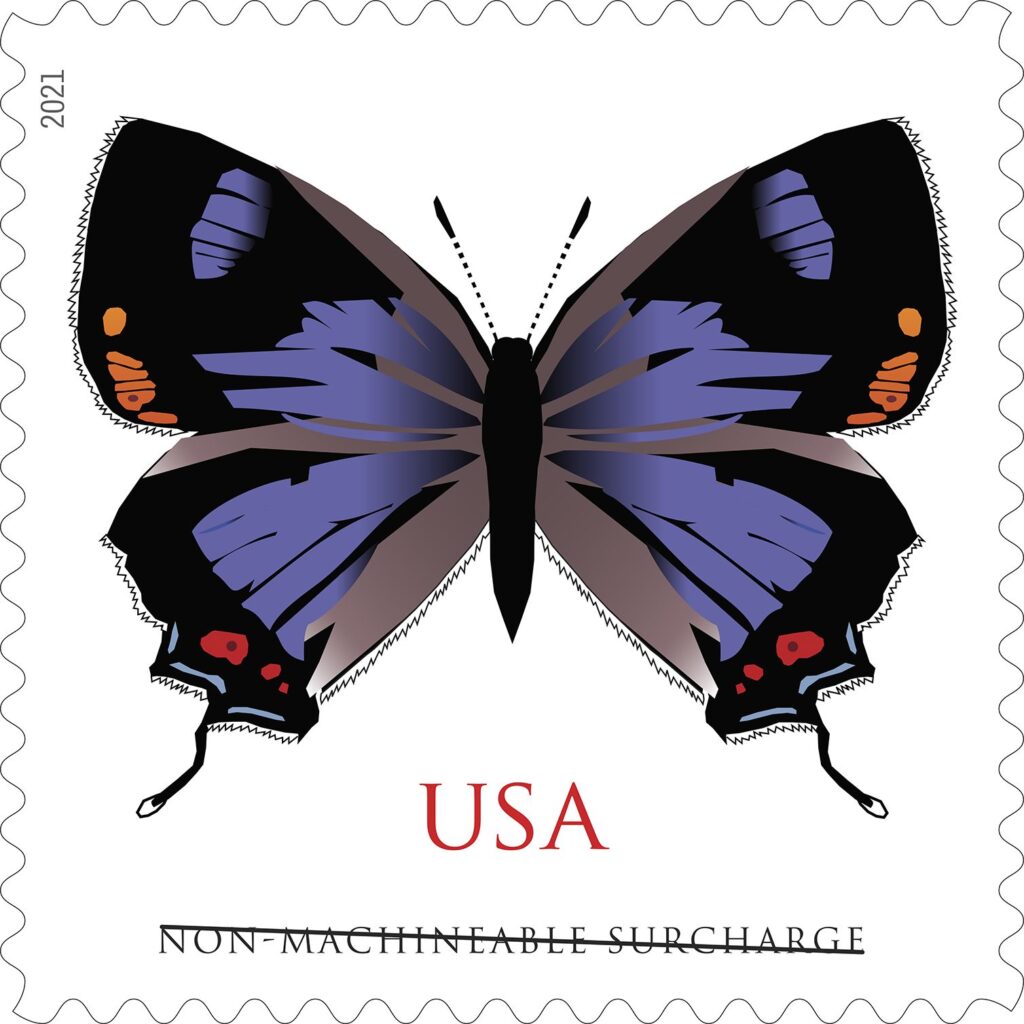 Colorado Hairstreak