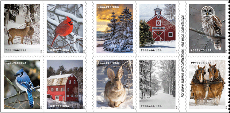 Winter Scenes