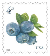 Blueberries