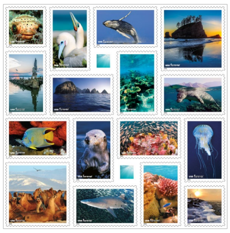 National Marine Sanctuaries