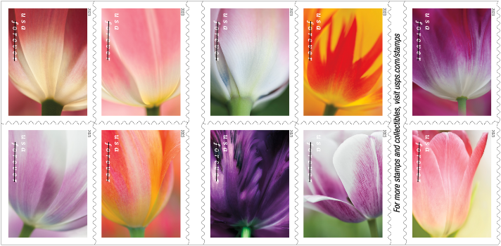 Tulip Blossoms USPS stamp